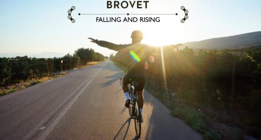 Brovet III: Mission Accomplished