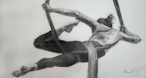 Εναέρια ακροβατικά πανιά [aerial silks]